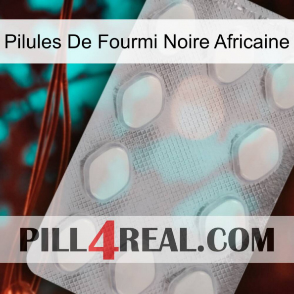 African Black Ant Pills 16